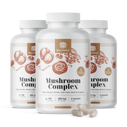 3x Complexe de champignons, ensemble 540 gélules