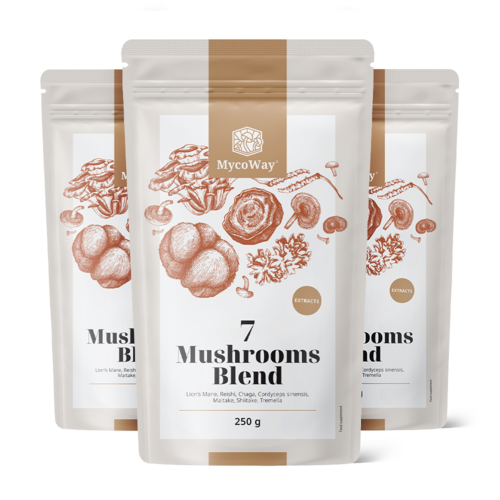 3x Mélange de sept extraits de champignons en poudre, ensemble 750 g