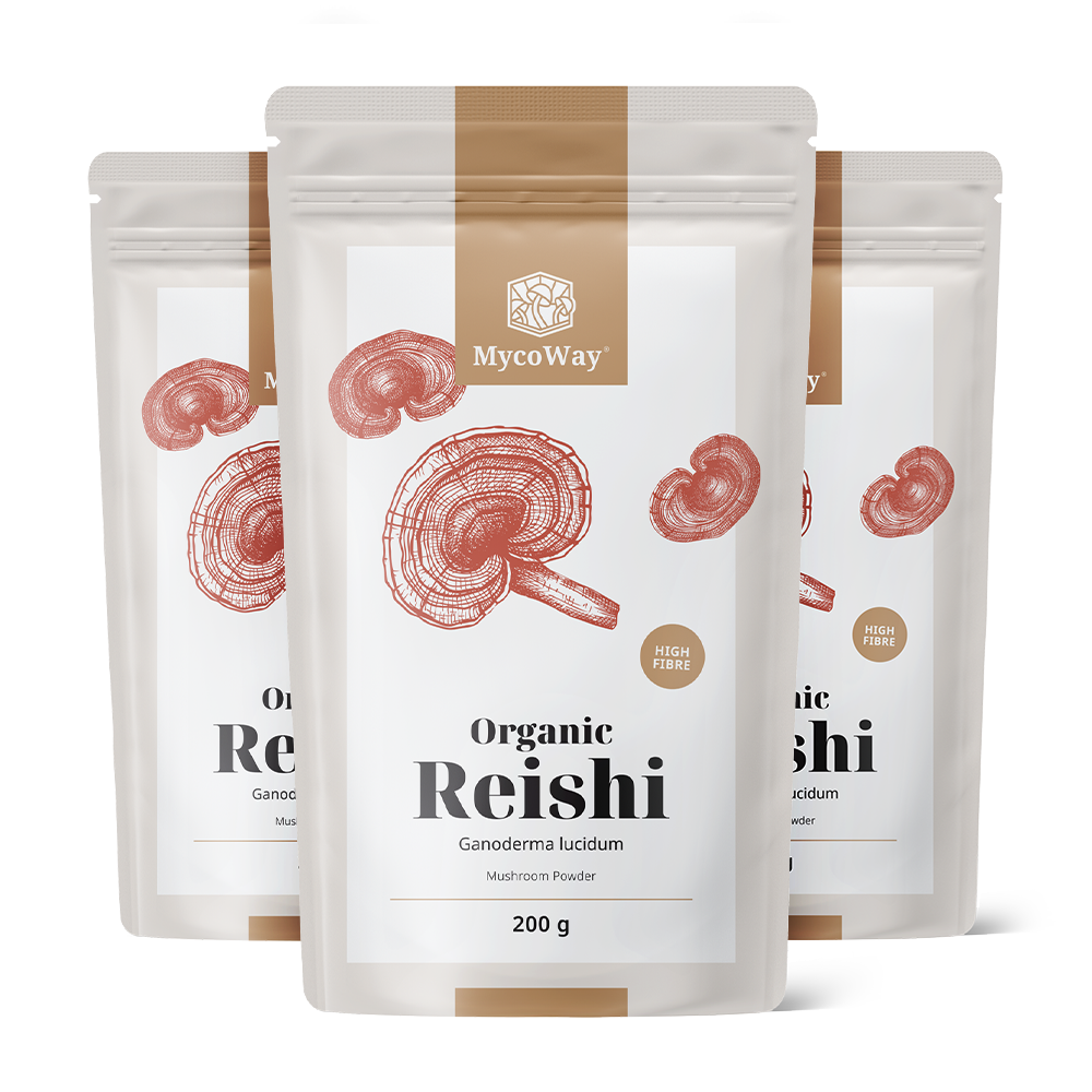 BIO Reishi en poudre