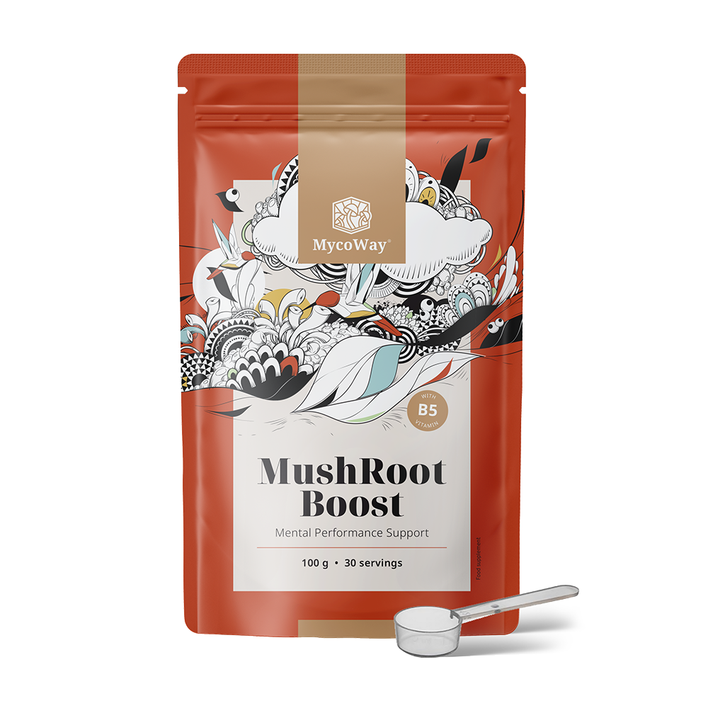 MushRoot Boost - boisson pour la performance mentale