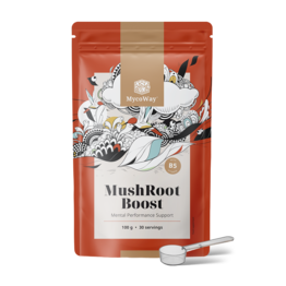 MushRoot Boost - boisson pour la performance mentale, 100 g