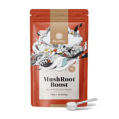 MushRoot Boost - boisson pour la performance mentale, 100 g