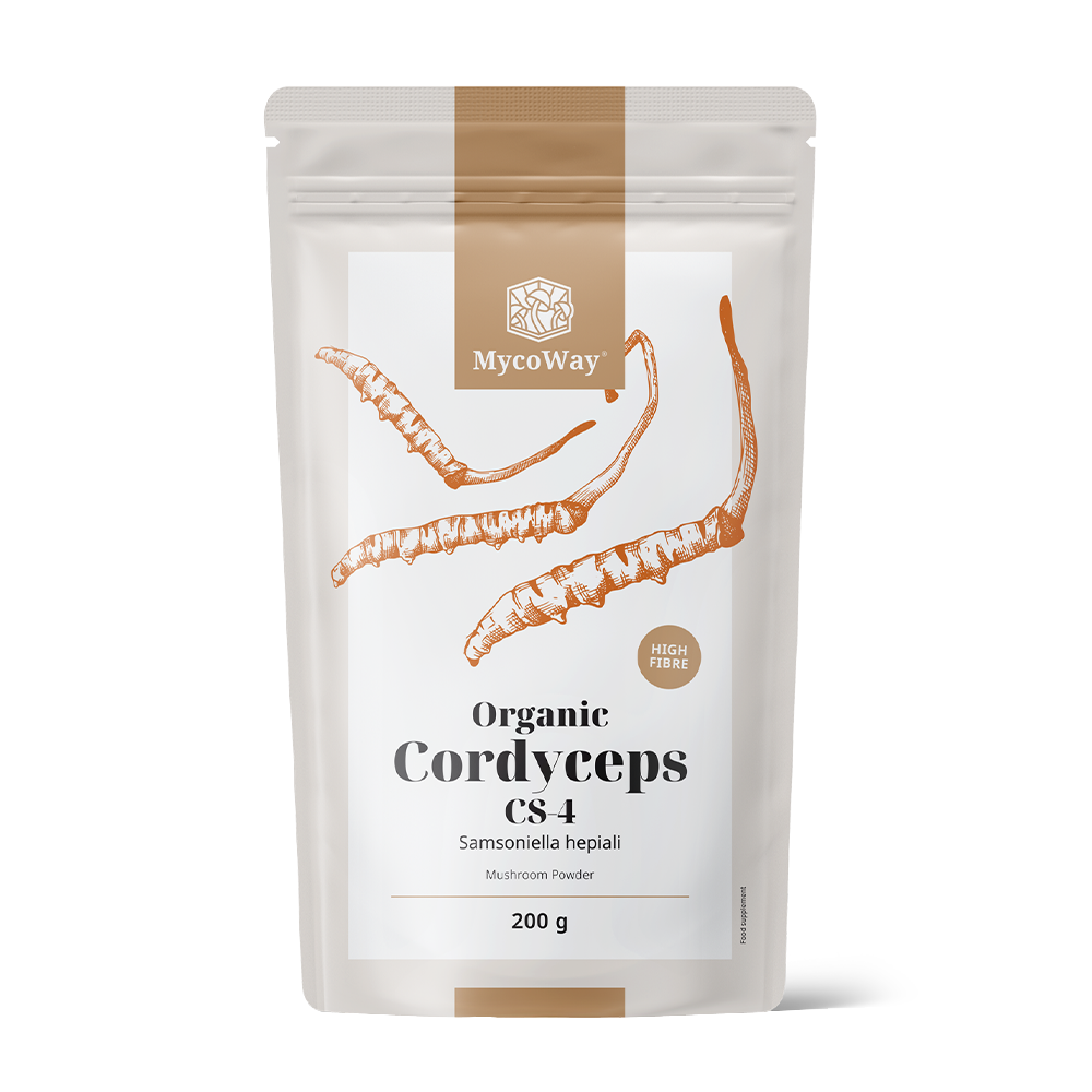 BIO Cordyceps sinensis en poudre