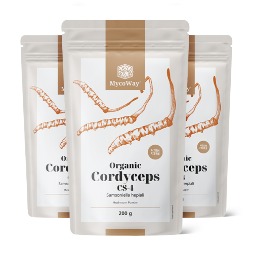 3x BIO Cordyceps CS-4 en poudre, ensemble 600 g