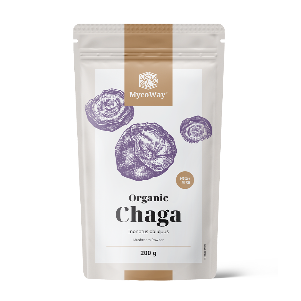 Chaga en poudre BIO