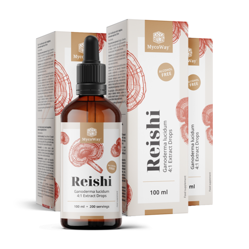 3x Reishi – extrait en gouttes, ensemble 300 ml