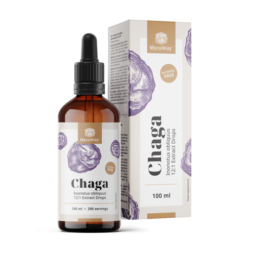 Chaga – extrait en gouttes, 100 ml