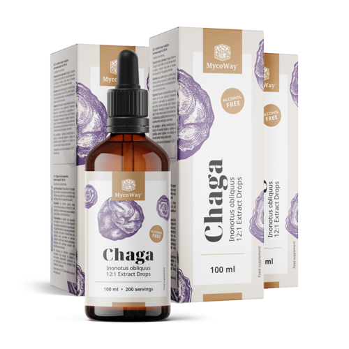 3x Chaga – extrait en gouttes, ensemble 300 ml