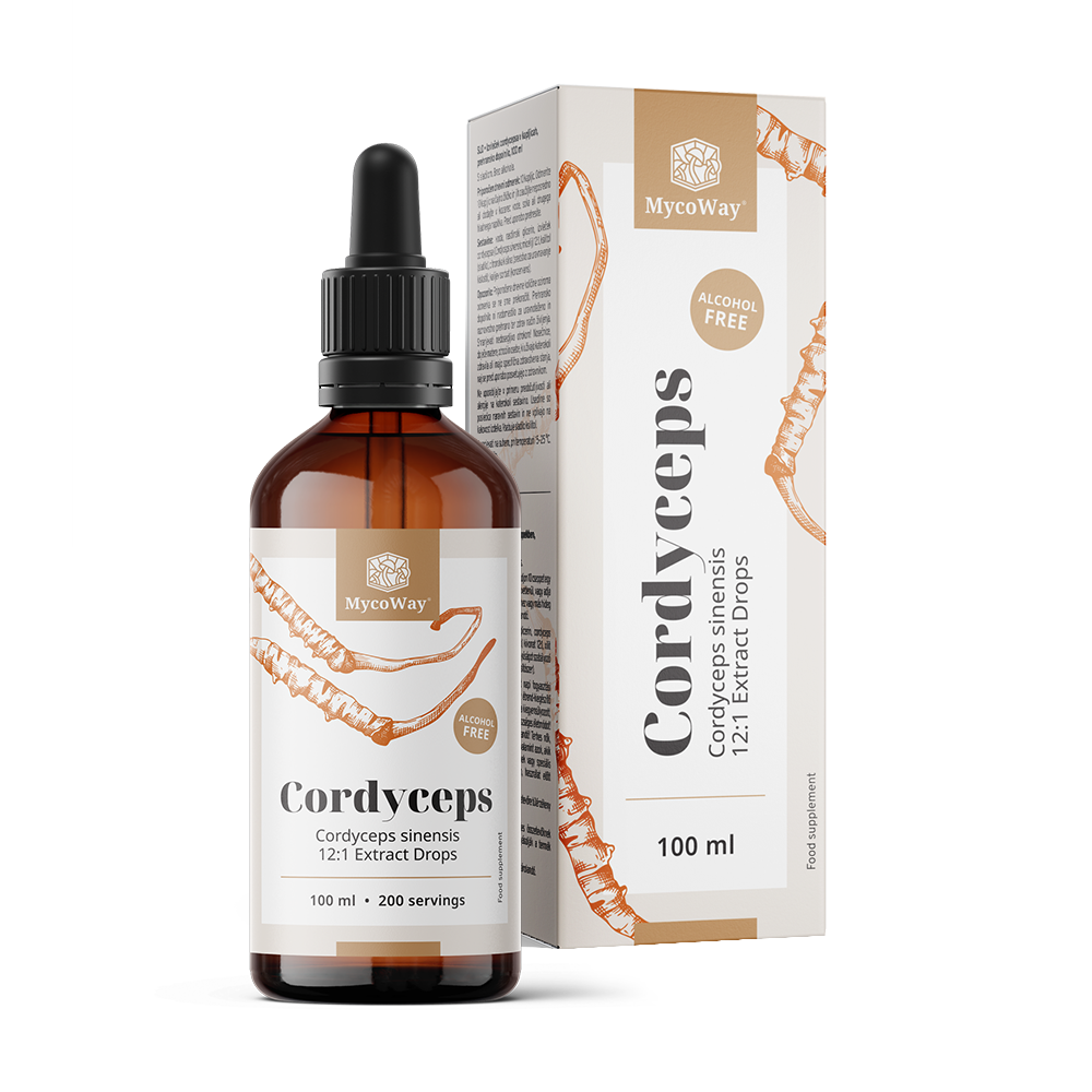 Cordyceps - extrait en gouttes