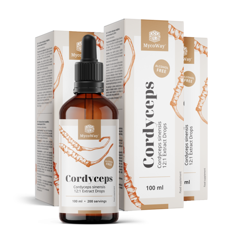 3x Cordyceps – extrait en gouttes, ensemble 300 ml