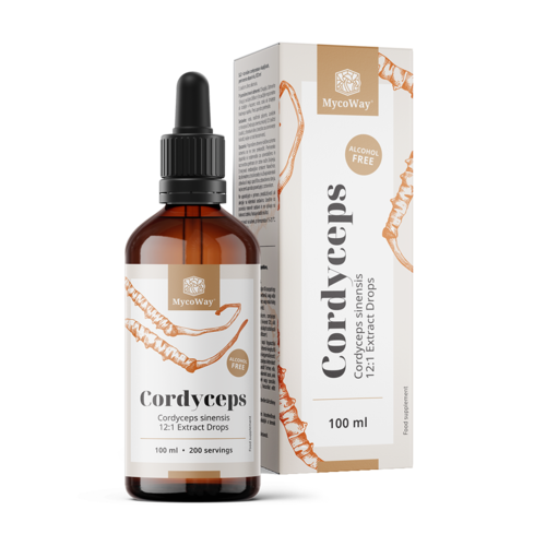 Cordyceps – extrait en gouttes, 100 ml