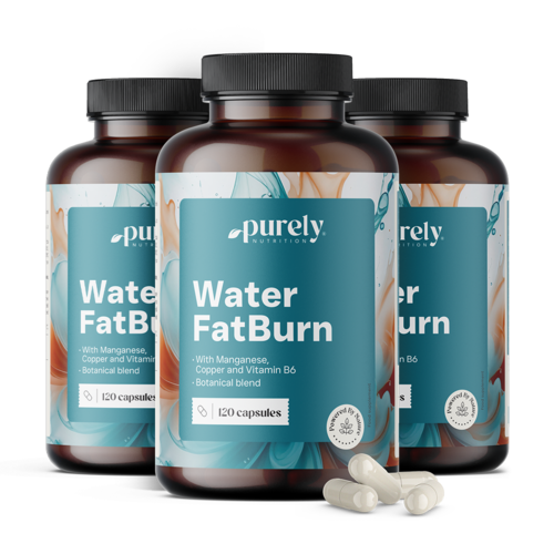 3x Water FatBurn, ensemble 360 gélules