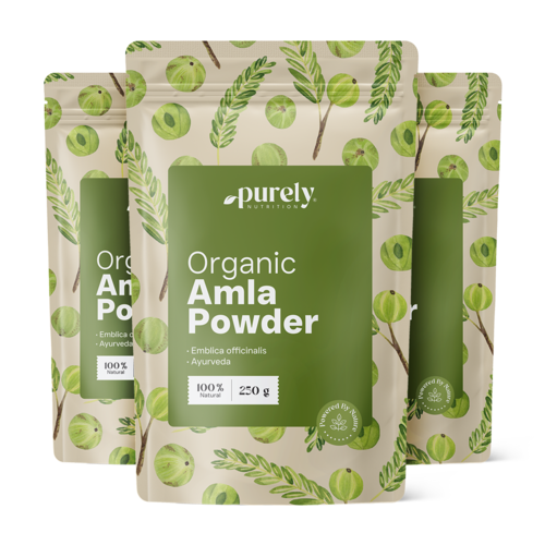 3x BIO Amla en poudre, ensemble 750 g