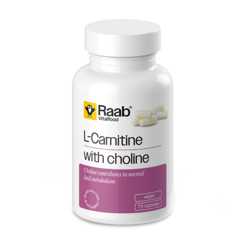 L-carnitine + choline.